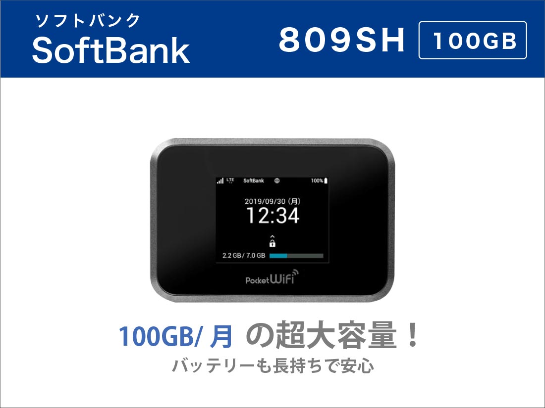SoftBank 809SH/601HW 100GB